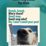 funny poop jokes