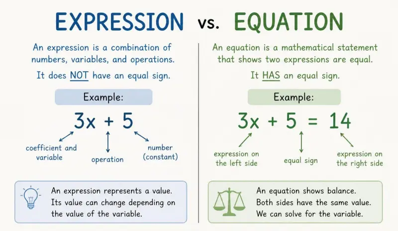Expression vs Equation