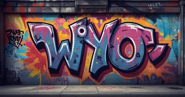 wyo meaning in text