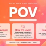 POV Meaning