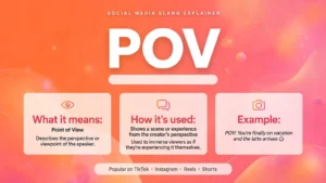 POV Meaning
