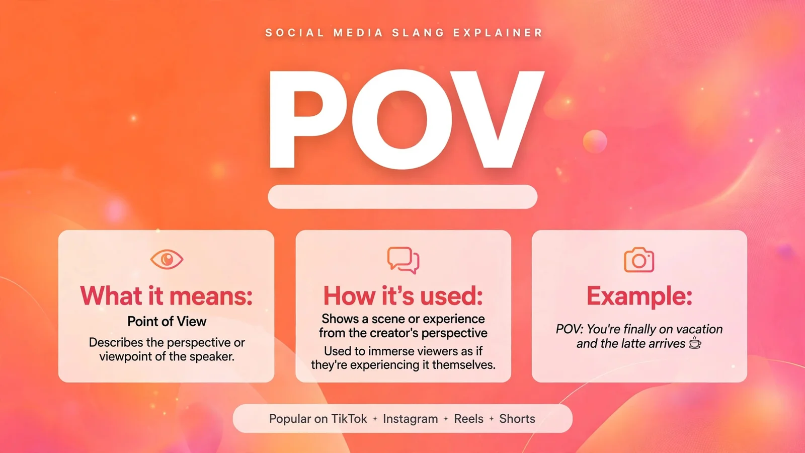 POV Meaning